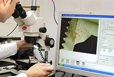 Microscopic Inspection